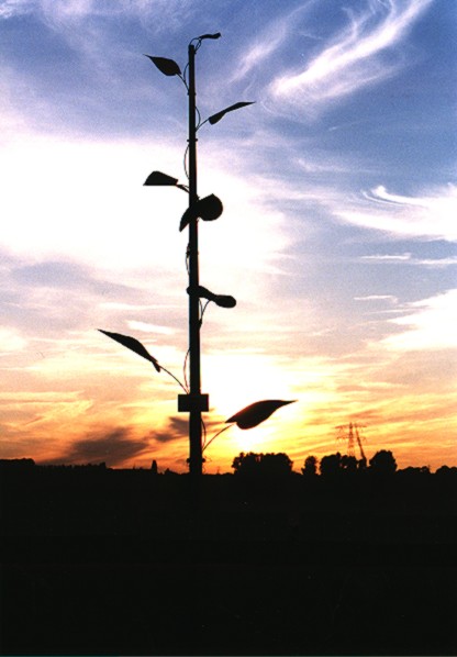 JPEG image - avondbeeld ...