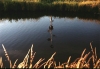 beeld09/jpg